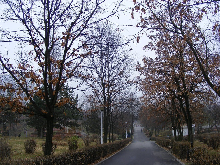 Park path in autumn