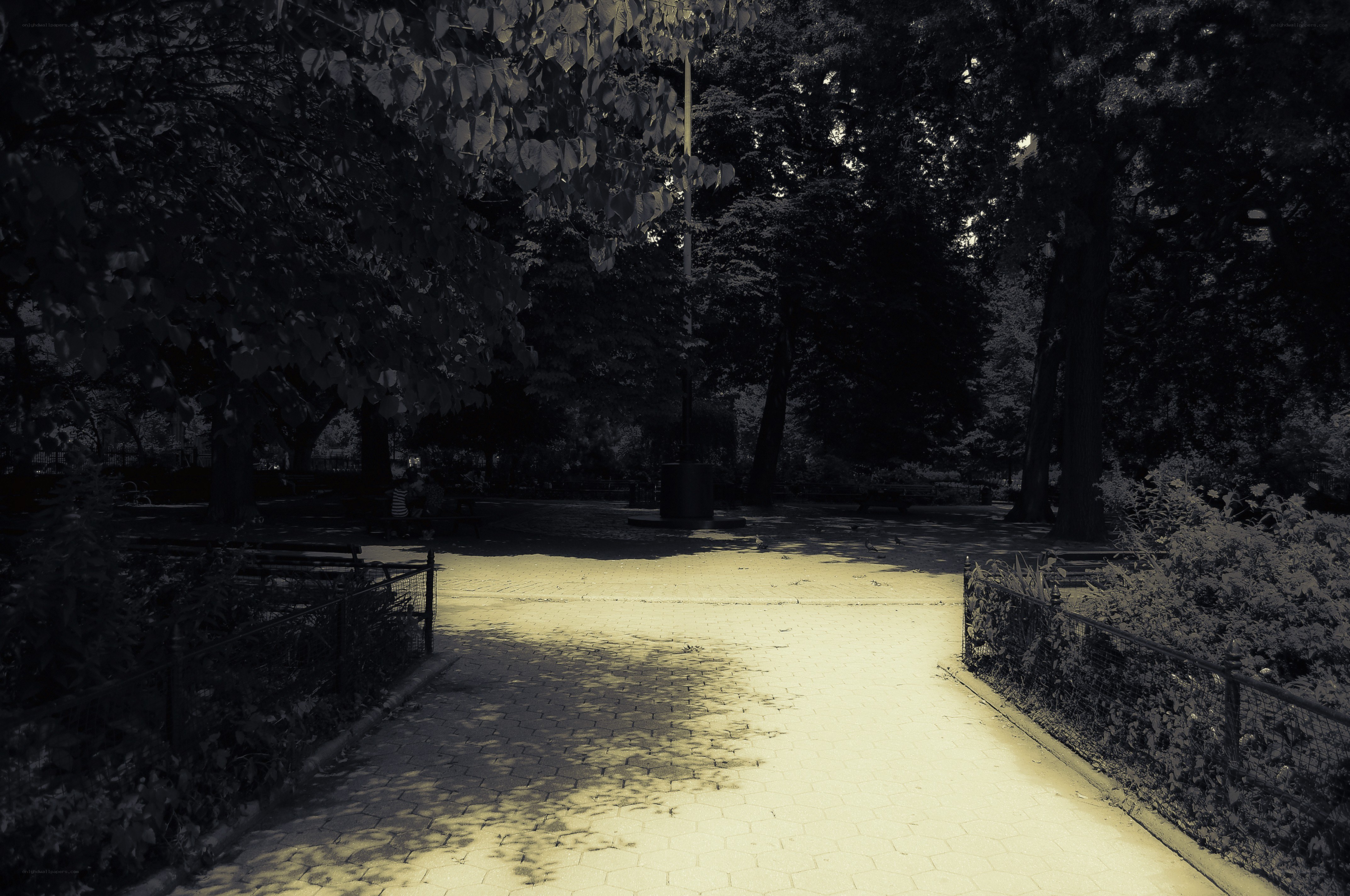 Park path in dappled light