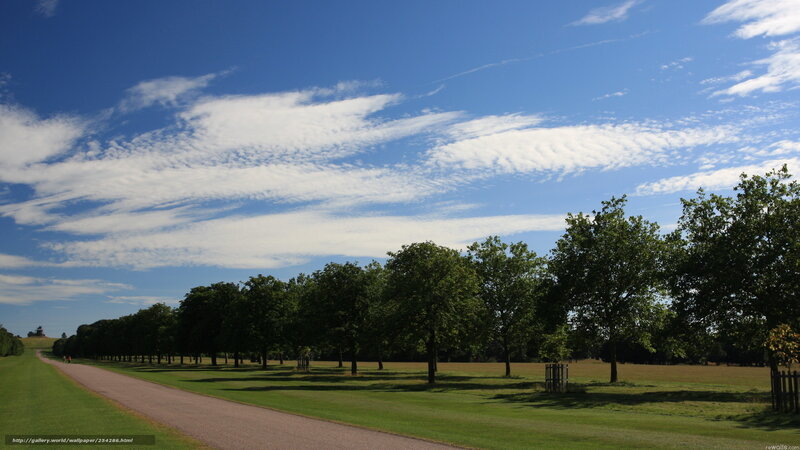 Park path under blue sky