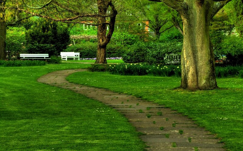 Park path with benches