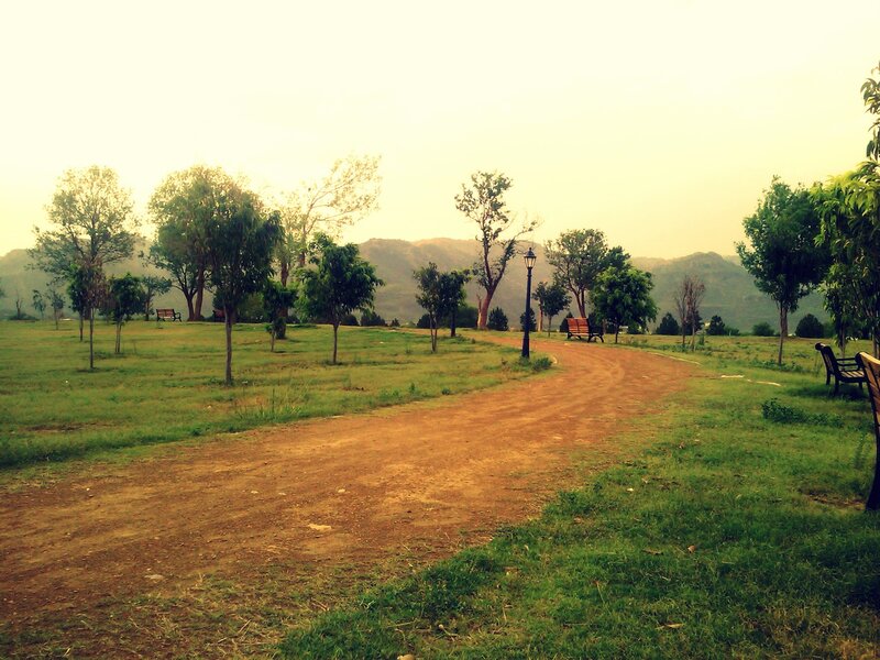 Park path with benches and trees