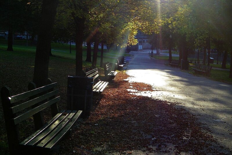 Park path with benches at sunrise