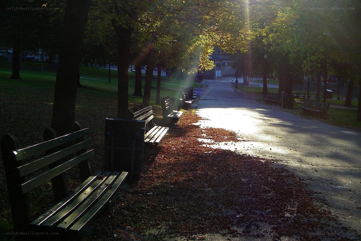 Park path with benches at sunrise