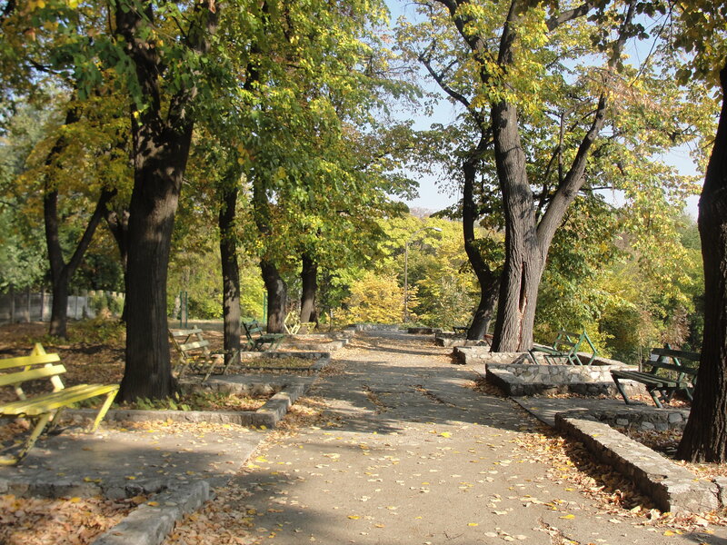 Park Path with Benches — Green, Serene, Autumn