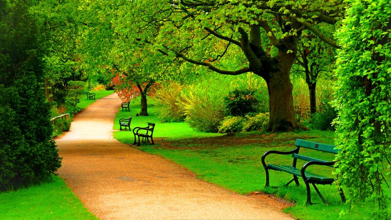 Park Path with Benches — Green, Serene, Spring