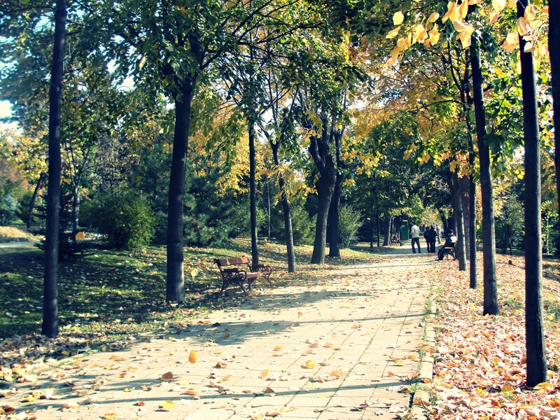 Park Path with Benches — Green