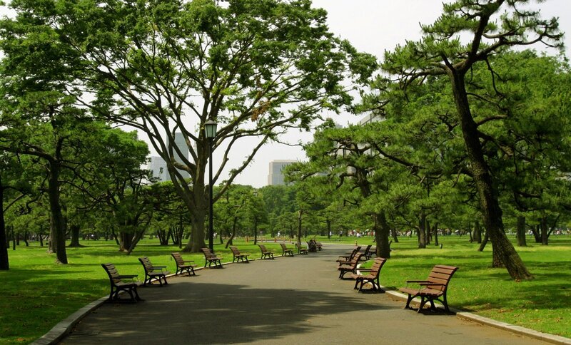 Park path with benches