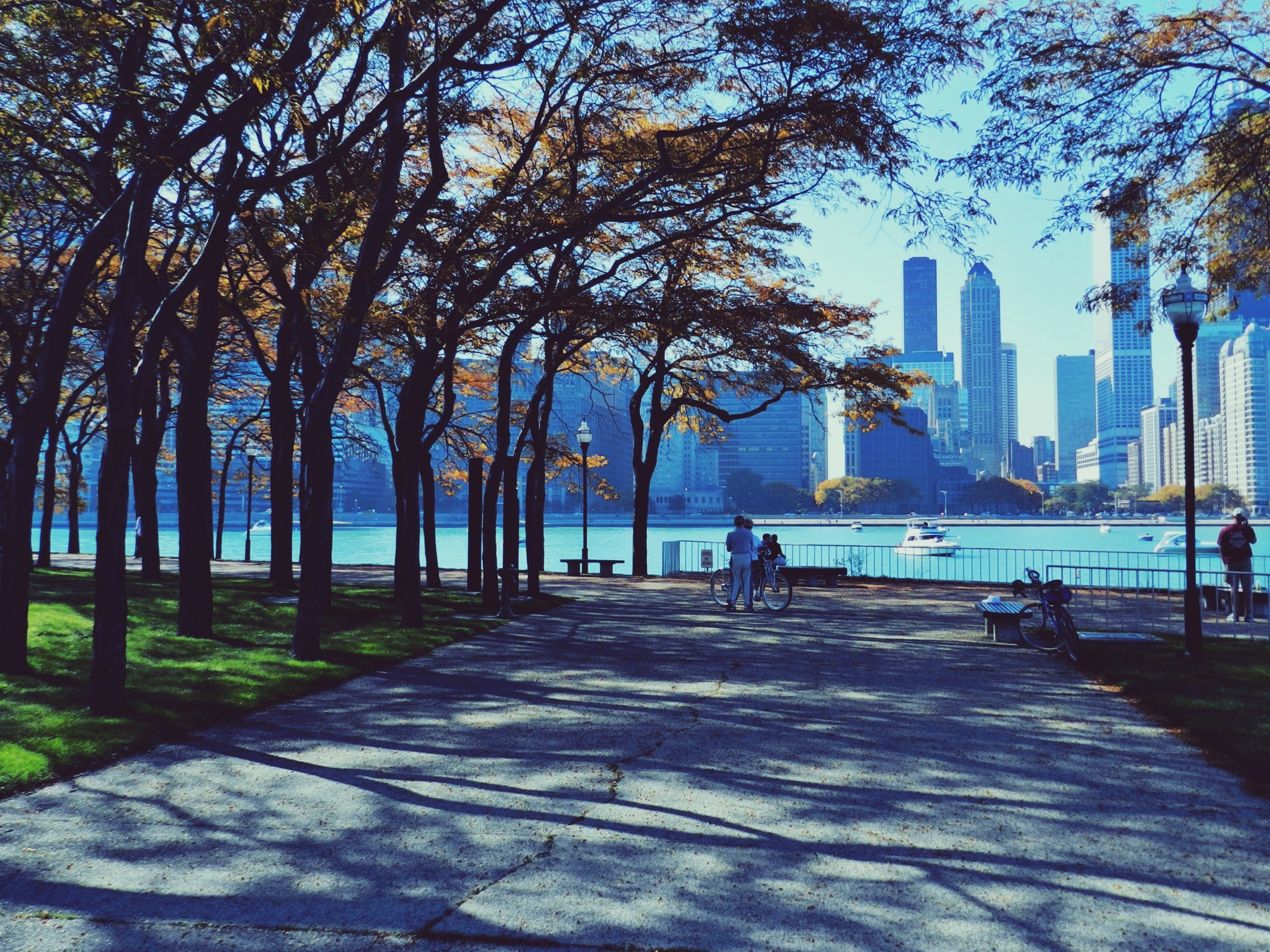 Park path with city skyline