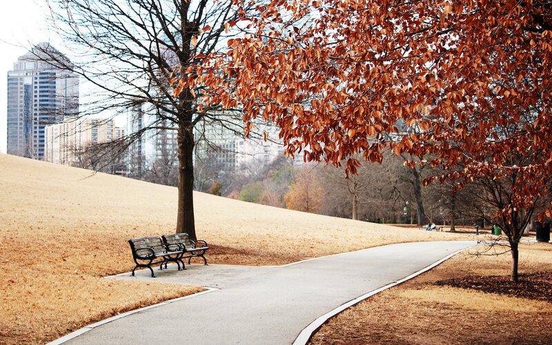 Park path with city skyline