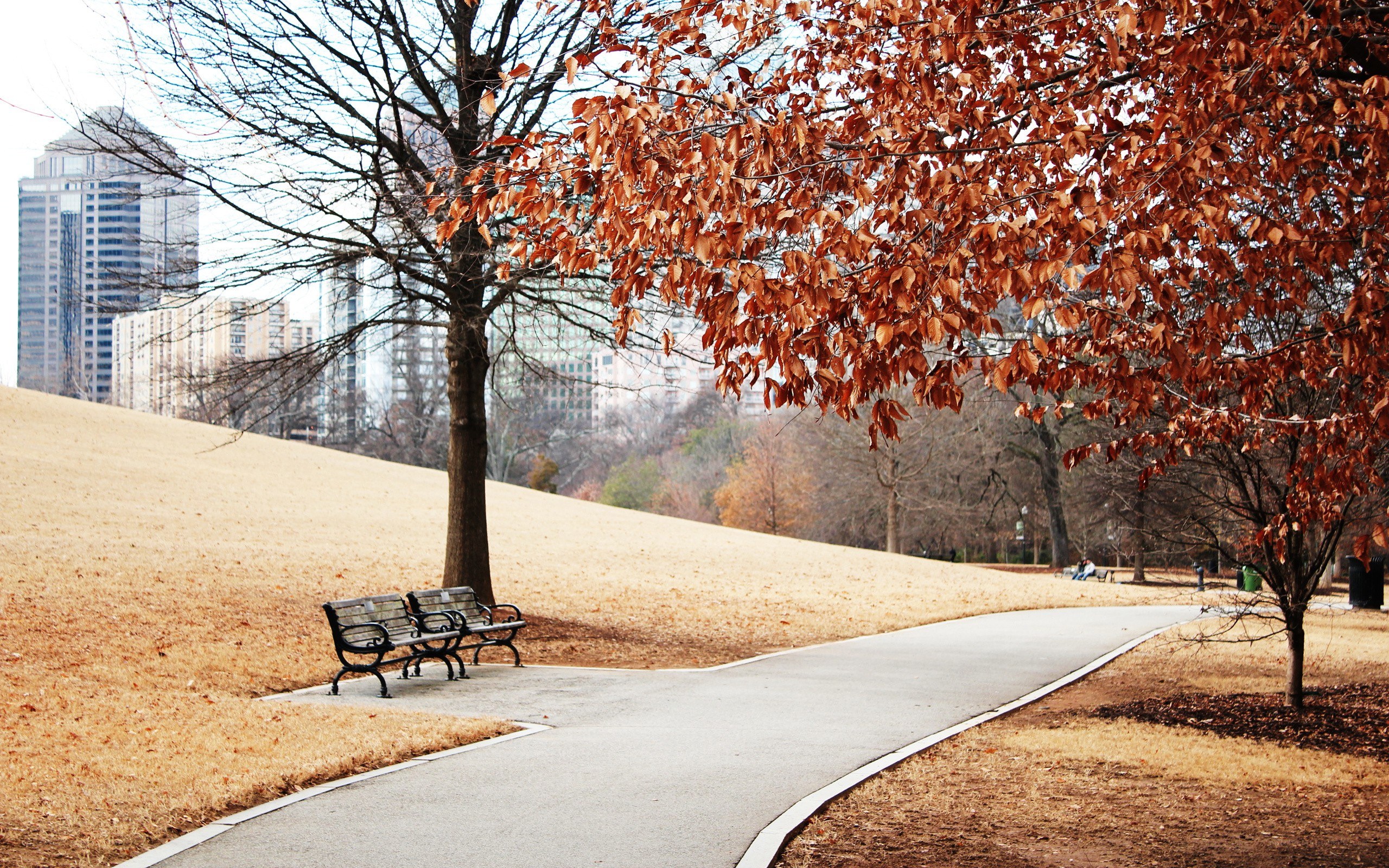 Park path with city skyline
