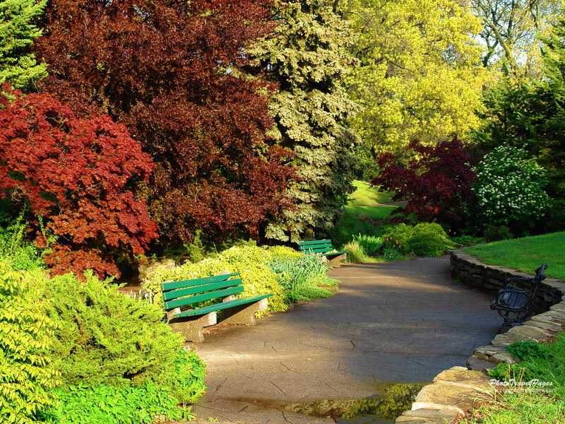 Park path with green benches