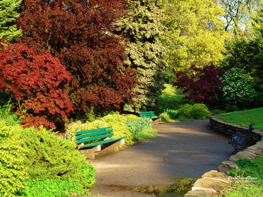 Park path with green benches