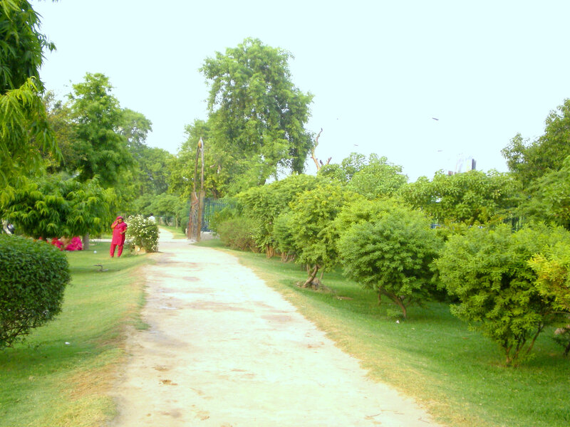 Park path with greenery