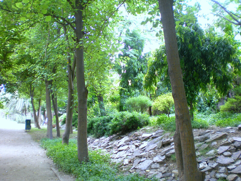 Park path with trees and rocks
