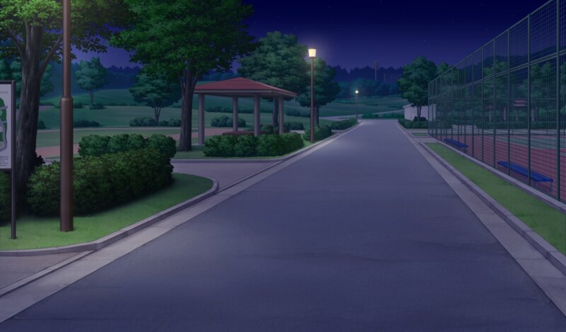 Park Pathway at Night