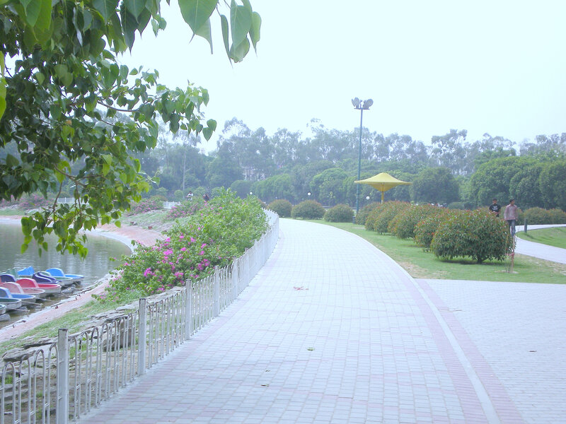 Park pathway by the lake