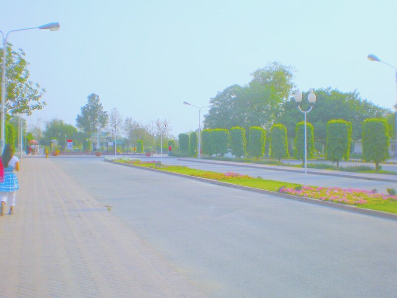 park pathway with flowers