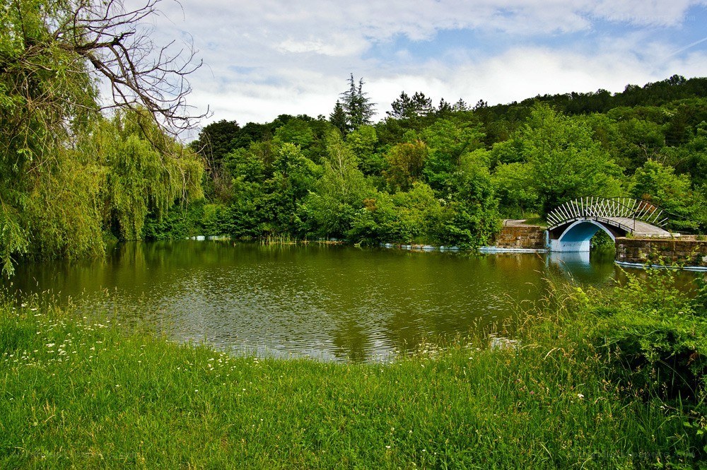 Park pond with arched bridge