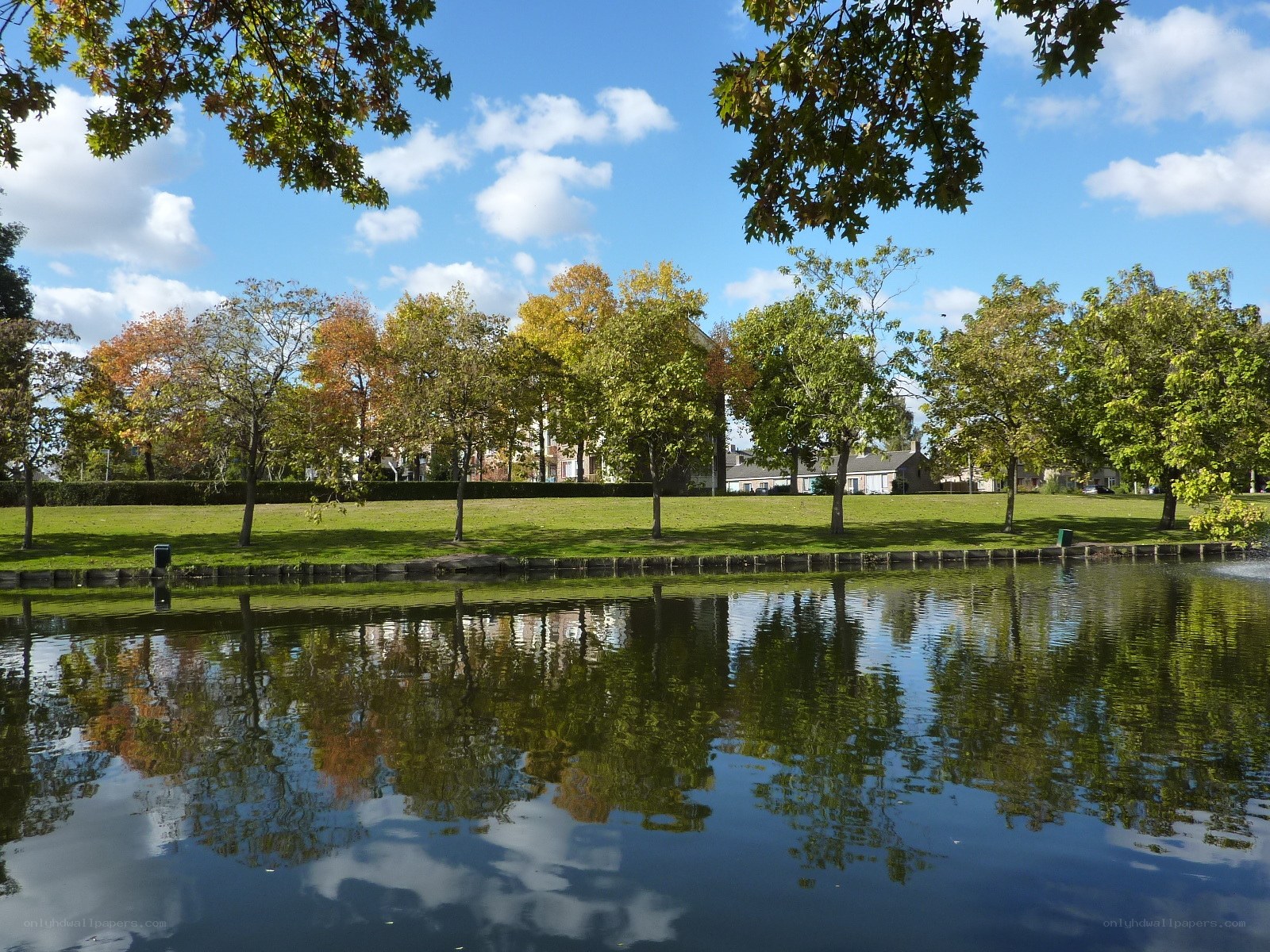 Park pond with autumn trees