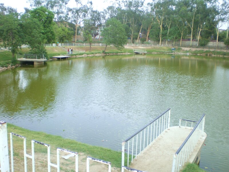 Park pond with docks