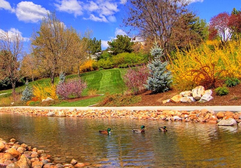 Park pond with ducks and colorful trees