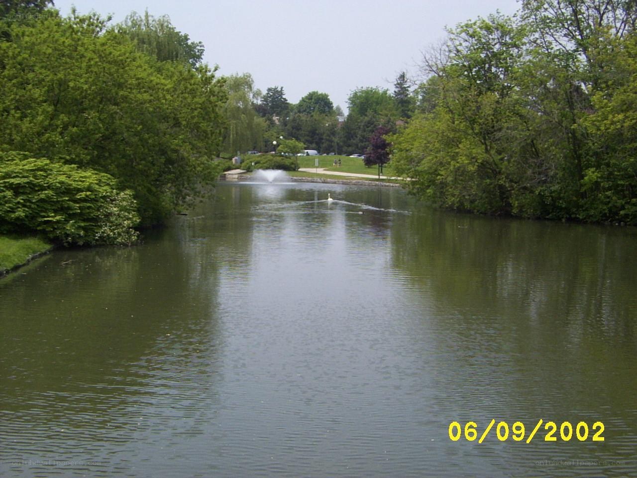 Park pond with fountain