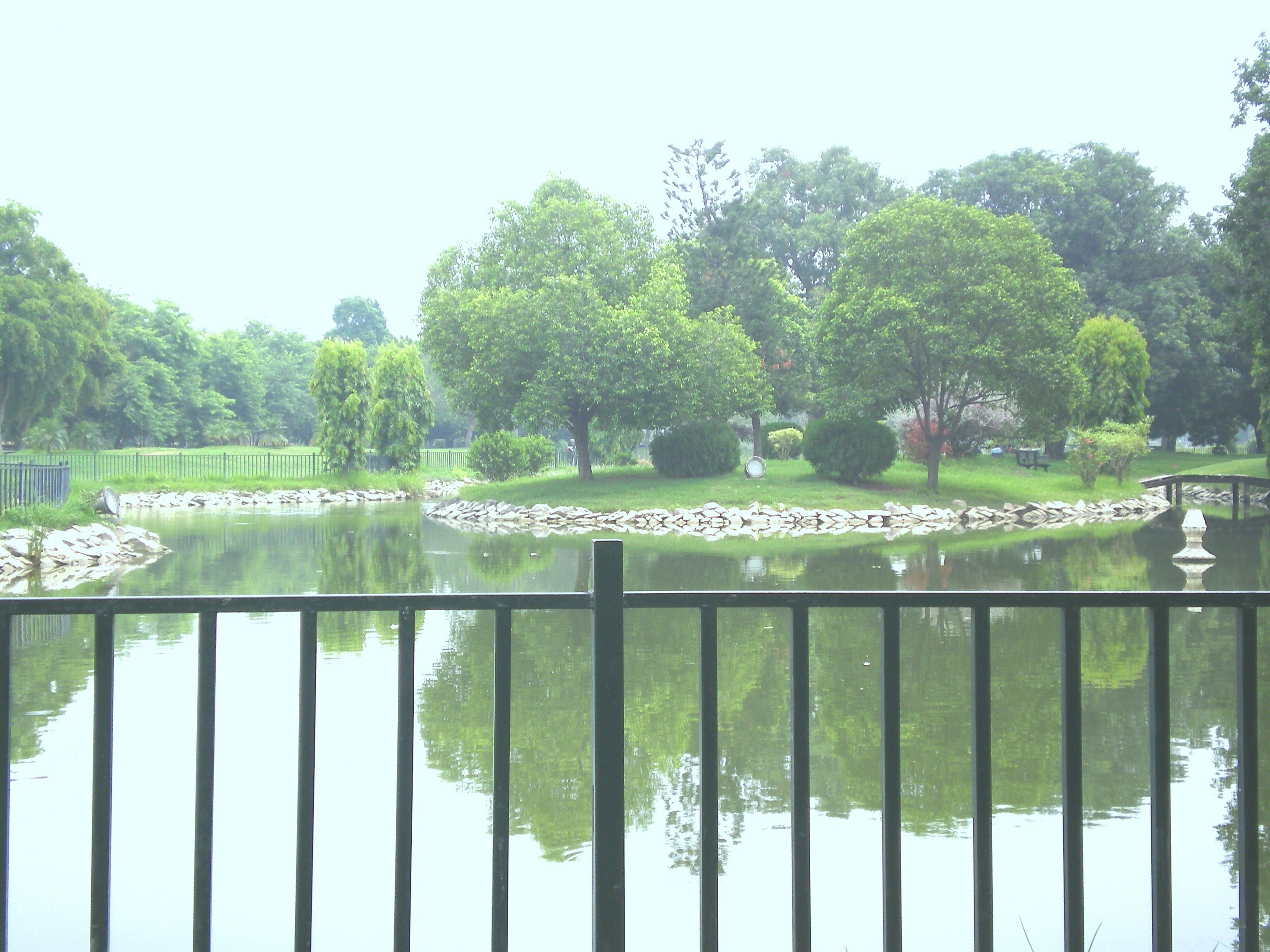 Park pond with green trees