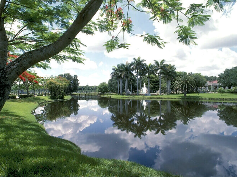 Park pond with palm trees