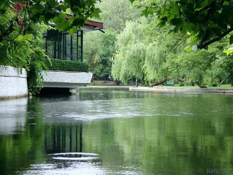 Park pond with pavilion