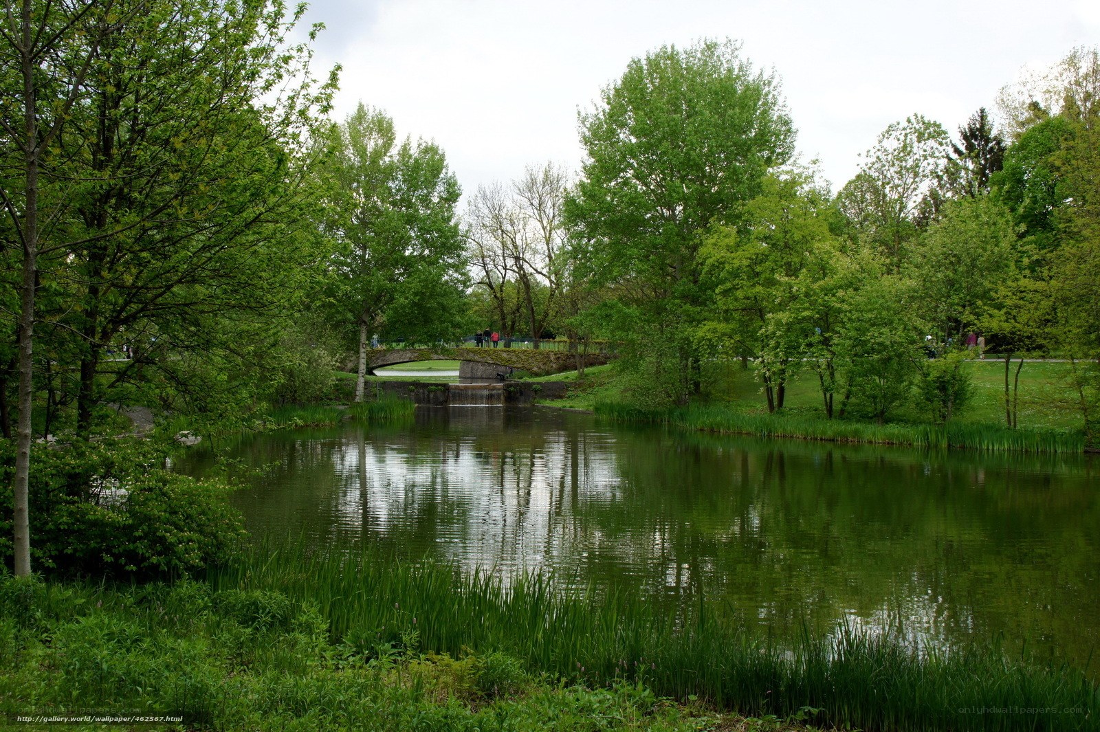 Park pond with stone bridge