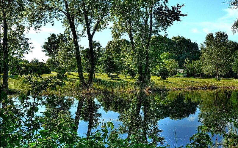 Park pond with tree reflections