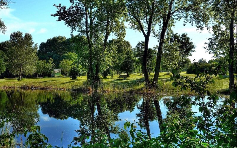 Park pond with tree reflections