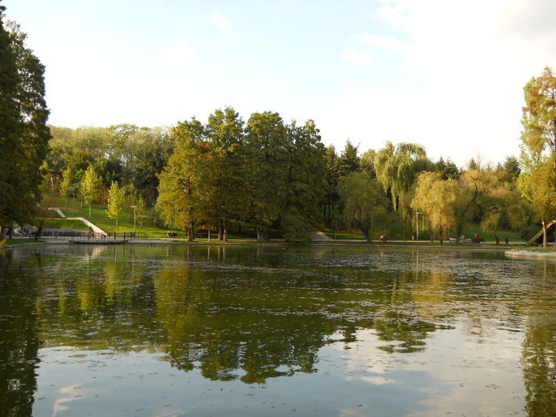 Park pond with trees