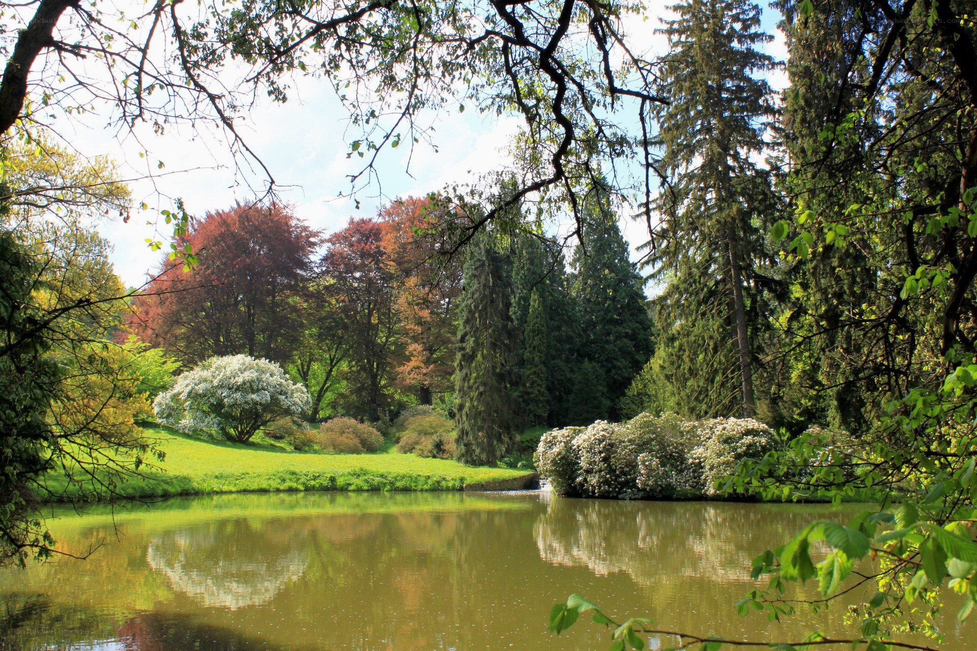Park pond with trees and flowers