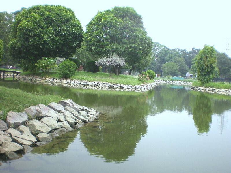 Park pond with trees and rocks