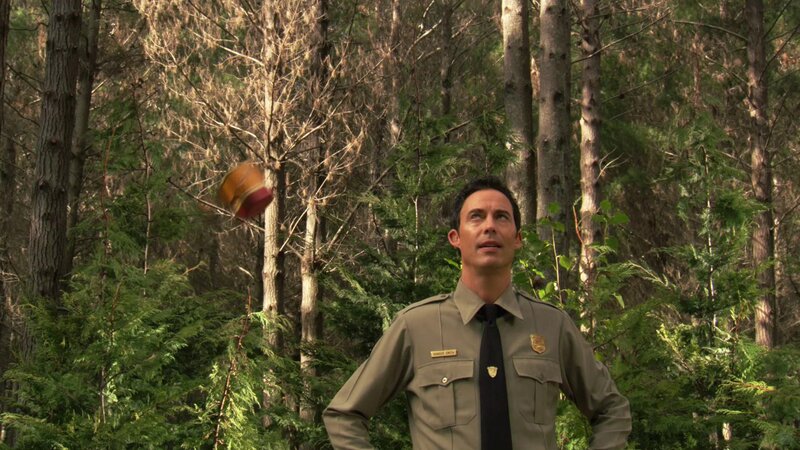 Park ranger in forest