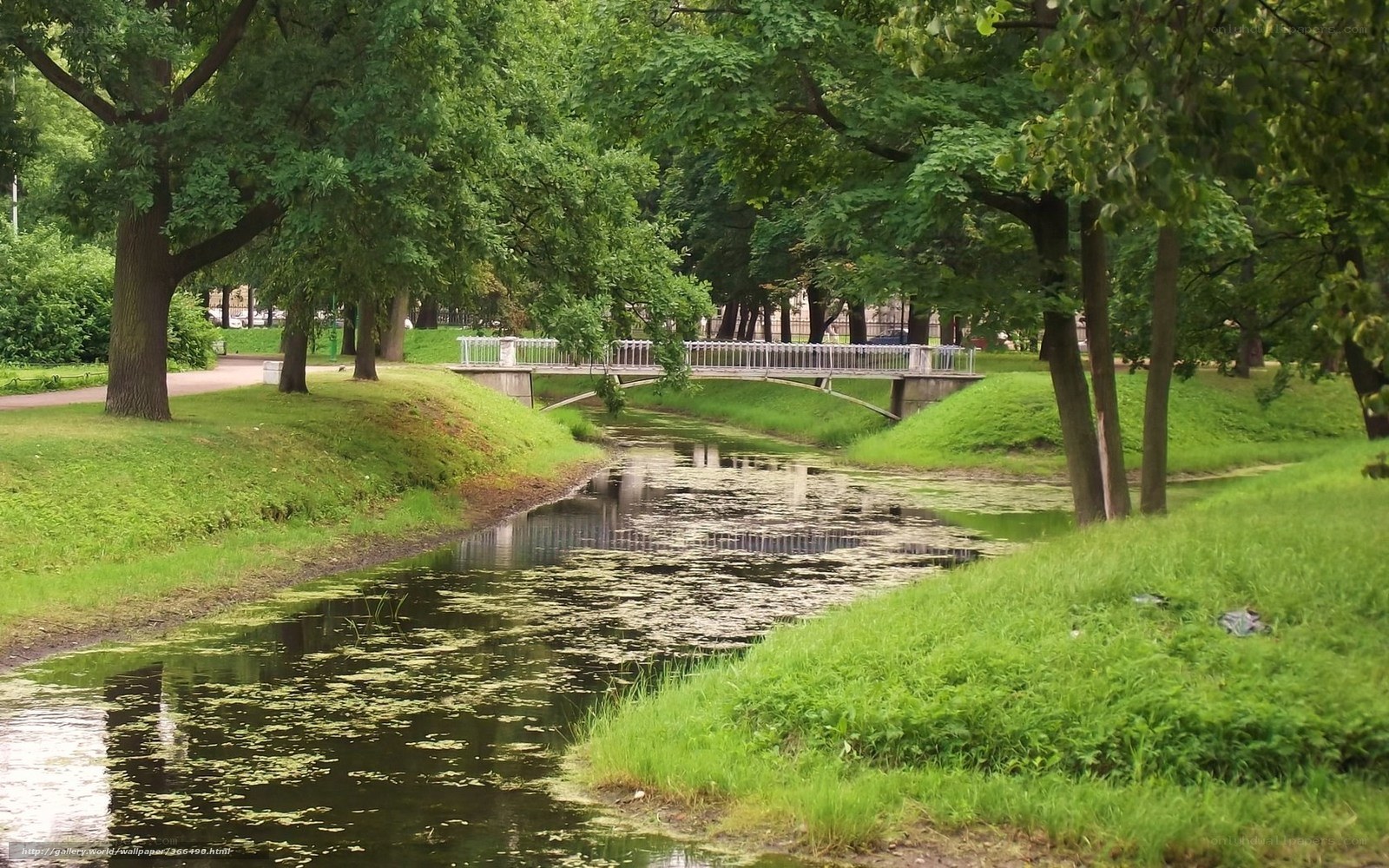Park river with bridge