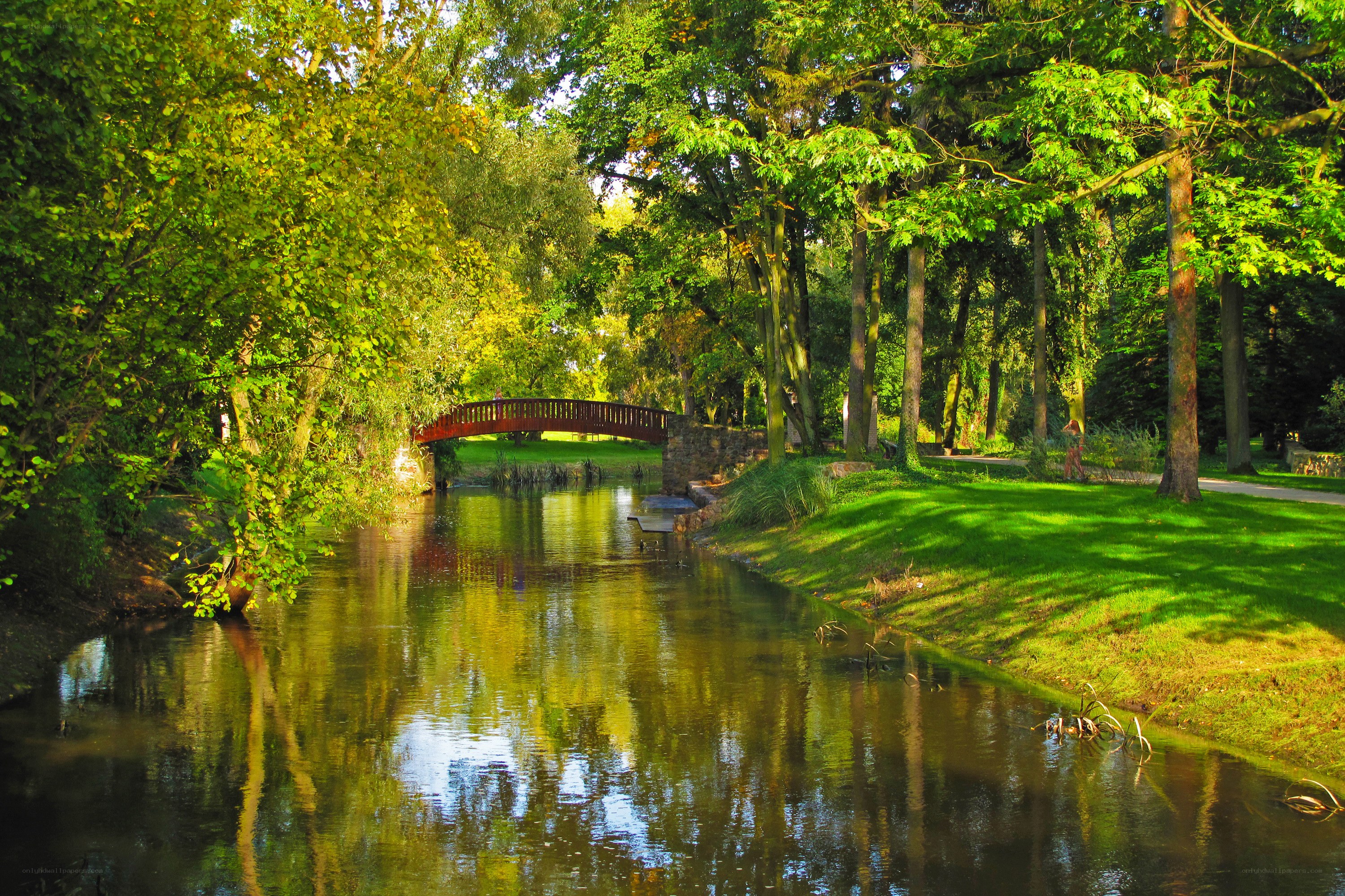 Park river with red bridge