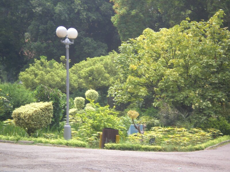 Park scene with lamp post