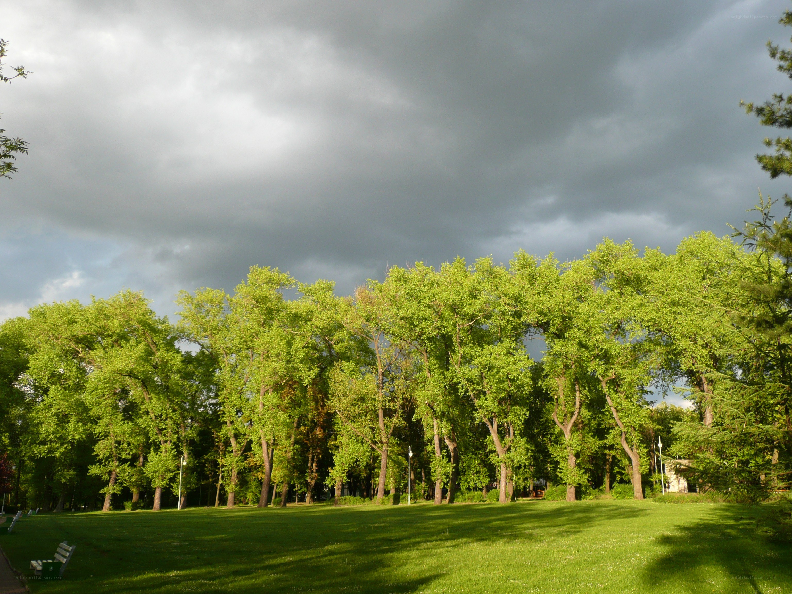 Park under stormy sky