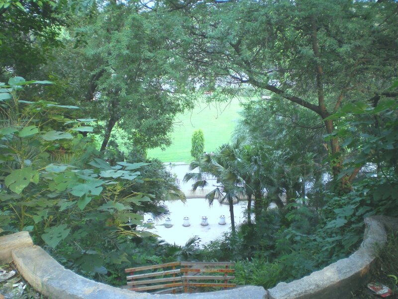 Park view from elevated garden