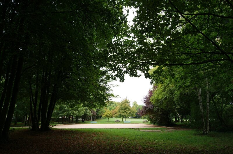 Park view through trees