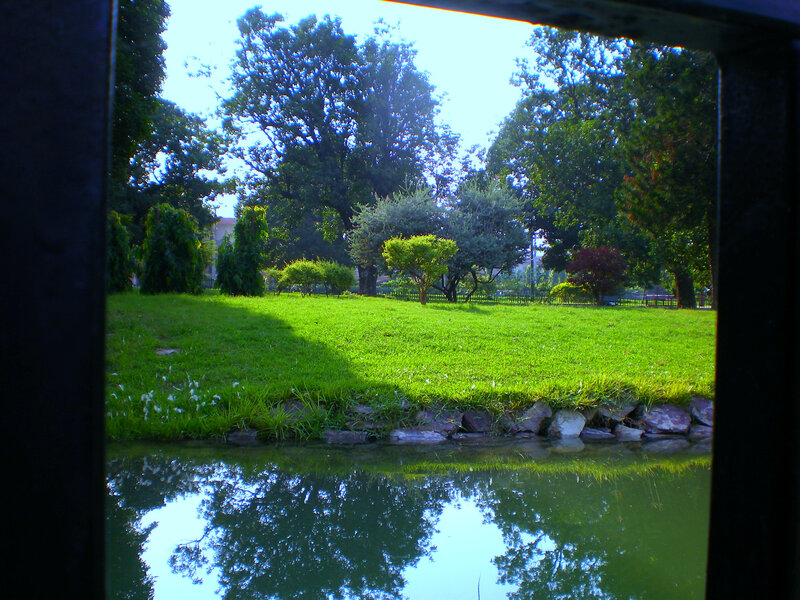 Park view through window frame