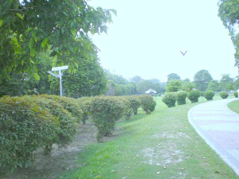 Park with a curved path