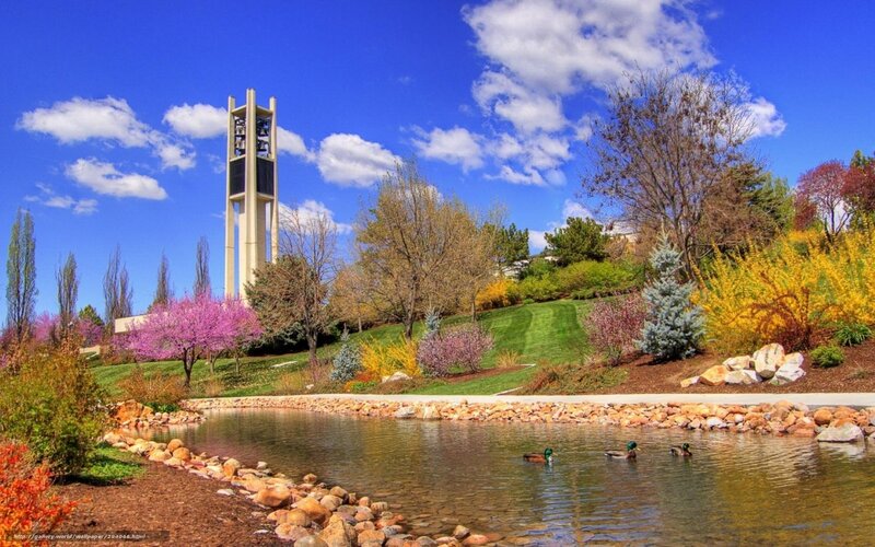 Park with bell tower and pond
