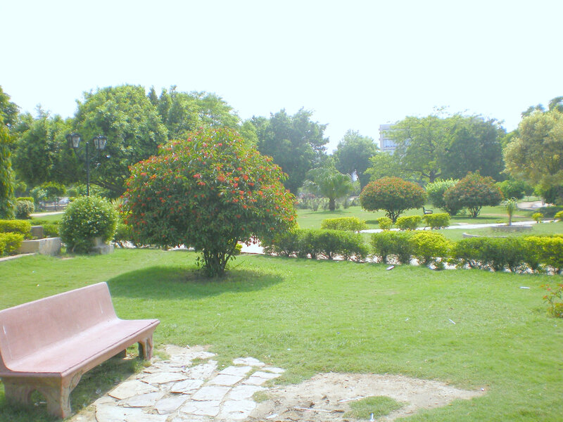 Park with bench and flowering trees