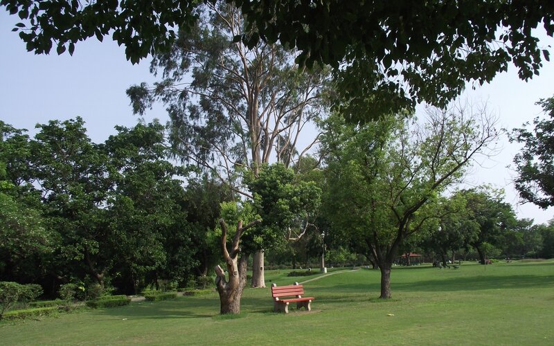 Park with bench and trees