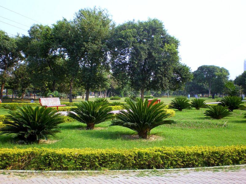 Park with benches and palm trees