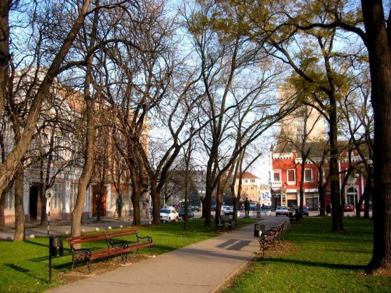 Park with Benches and Trees