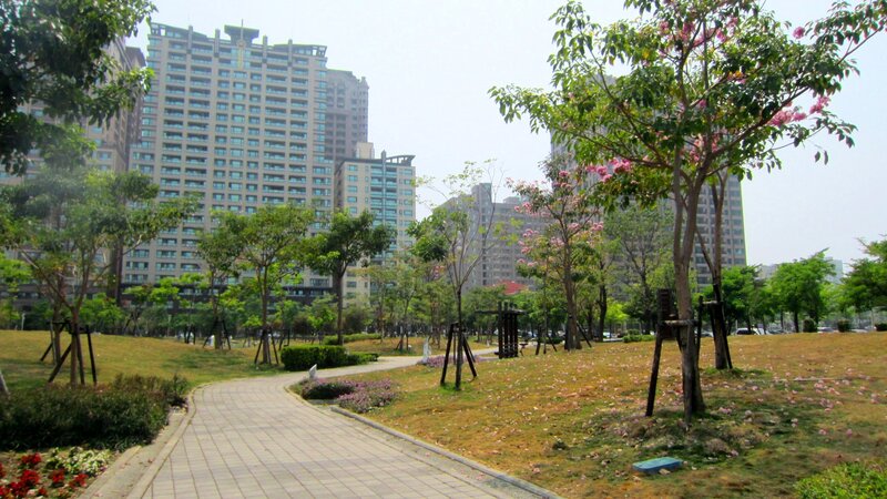 Park with Blooming Trees — Green